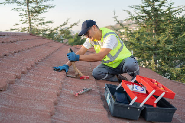 Best Roof Leak Repair  in Magnolia, NC