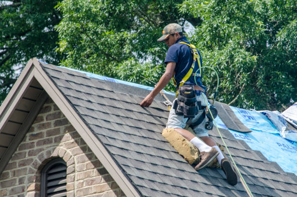 Quick and Trustworthy Emergency Roof Repair Services in Magnolia, NC